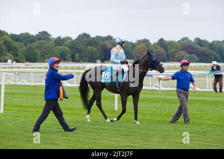 Jockey Jim Crowley bei den York Races auf Revich. Stockfoto