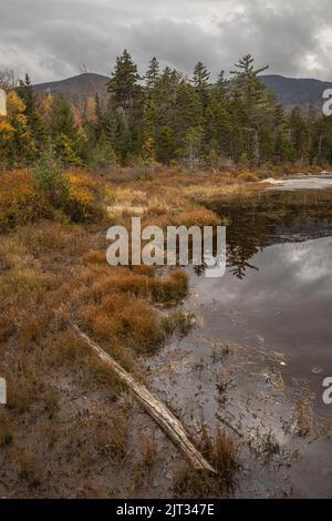 Eine vertikale Aufnahme eines Teiches in den White Mountains von New Hampshire im Herbst Stockfoto