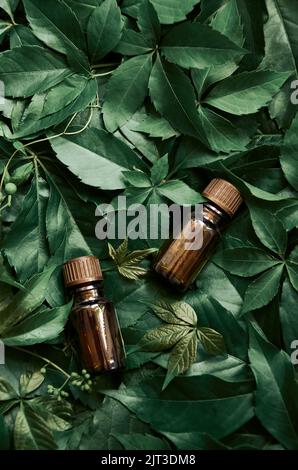 Flaschen mit Öl-Serum-Kosmetik-Produkt auf grünen Blättern vertikalen Hintergrund. Stockfoto