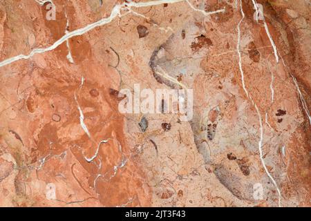 Alle de las betas de un suelo de mármol rojo Stockfoto