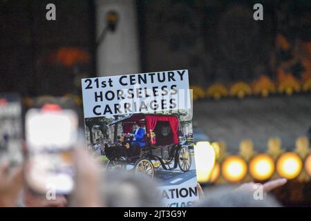 Die Teilnehmerin der Rallye hält vor dem Pulitzer-Brunnen in Manhattan Schilder zur Bekämpfung von Tiermissbrauch, um das Ende der Pferdekutschenmisshandlung in New York zu fordern Stockfoto