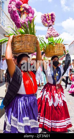 Mexikanische Tänzerinnen in traditionellen Oaxaca-Kostümen, Oaxaca de Juarez, Bundesstaat Oaxaca, Mexiko Stockfoto