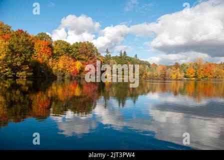 Herbstlaub Mont-Saint-Bruno, Quebec, Kanada Stockfoto
