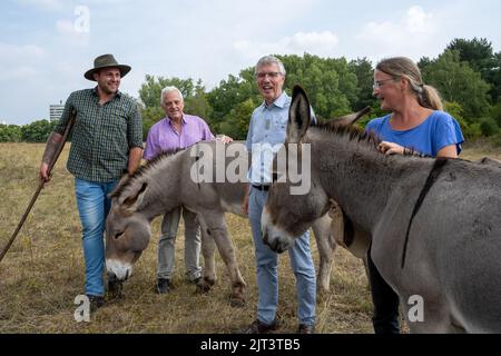 Mainz, Deutschland. 19. August 2022. Der Staatssekretär im Rheinland-pfälzischen Umweltministerium, Erwin Manz (3. v.l.), besucht ein Weideprojekt im Naturschutzgebiet Mainzer Sand. Er spricht mit dem Schäferhund Finn-Ole Stephan (links) und den Eselhütern Astreif Fölling (rechts) und René Reifenrath (2. von links). (To dpa: 'Schafe und Esel als Naturschützer - Tierhalter brauchen Unterstützung') Quelle: Peter Zschunke/dpa/Alamy Live News Stockfoto