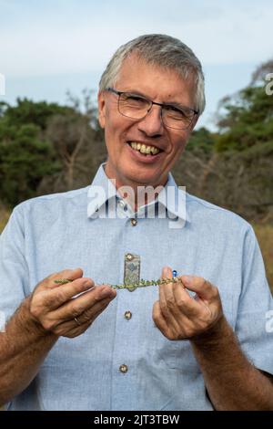 Mainz, Deutschland. 19. August 2022. Der Rheinland-pfälzische Umweltstaatssekretär Erwin Manz (Grüne) besitzt einen Zweig der Sandknopfpflanze (Bassia laniflora) im Naturschutzgebiet Mainzer Sand. Ein Weideprojekt hält die Landschaft offen und ermöglicht so den Erhalt seltener Pflanzenarten in diesem Steppengrasbiotop. (To dpa: 'Schafe und Esel als Naturschützer - Tierhalter brauchen Unterstützung') Quelle: Peter Zschunke/dpa/Alamy Live News Stockfoto