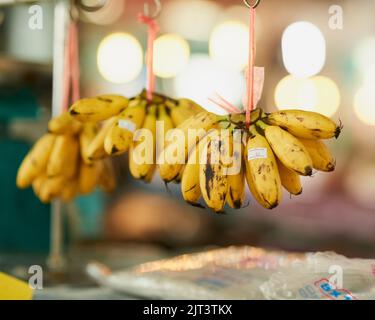 Potent im Kalium. Bananenbündel, die an den Schnüren auf dem Lebensmittelmarkt hängen. Stockfoto