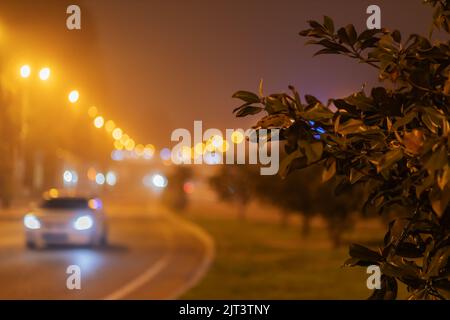 Verschwommene Nachtstraße im Nebel. Äste eines grünen Baumes vor dem Hintergrund einer nächtlichen, leuchtenden Straße Stockfoto