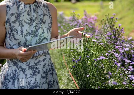 Asiatische Frau mittleren Alters mit einer Tablette, während die Qualität der Blumen im Garten zu überprüfen. Stockfoto