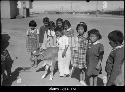 Tule Lake Segregation Center, Newell, Kalifornien. Diese Grundschüler am Tule-See. . . Stockfoto