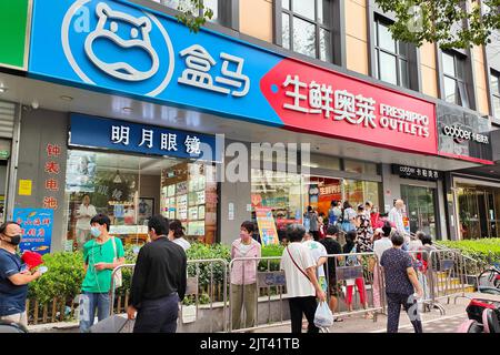 Am 28. August 2022 steht vor einem Hema 'FRESHIPPO OUTLETS'-Geschäft in Shanghai, China, eine Schlange von Hunderten von Metern. Es wird berichtet, dass Hema 'FRISCH Stockfoto