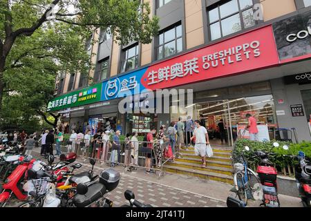 Am 28. August 2022 steht vor einem Hema 'FRESHIPPO OUTLETS'-Geschäft in Shanghai, China, eine Schlange von Hunderten von Metern. Es wird berichtet, dass Hema 'FRISCH Stockfoto