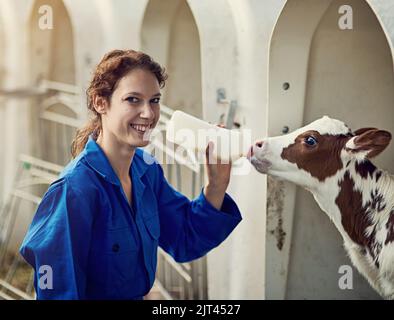 Ich kümmere mich um jedes Mitglied meiner Herde. Porträt einer Bäuerin, die auf dem Bauernhof ein Kalb von Hand füttert. Stockfoto