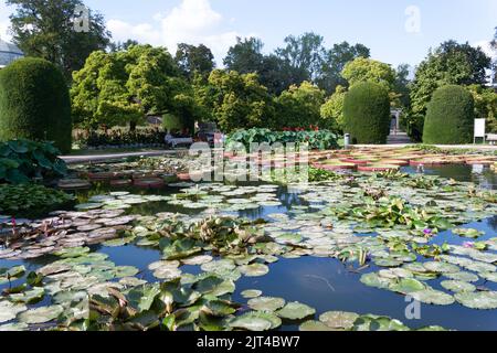 STUTTGART, WILHELMA, DEUTSCHLAND - 25. AUGUST 2022: Tropische Seerosen im zoologischen und botanischen Garten der Wilhelma in Stuttgart Stockfoto