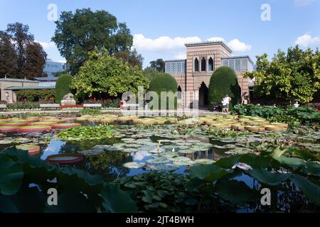 STUTTGART, WILHELMA, DEUTSCHLAND - 25. AUGUST 2022: Tropische Seerosen im zoologischen und botanischen Garten der Wilhelma in Stuttgart Stockfoto