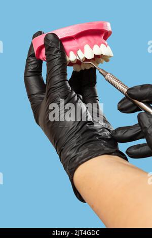 Nahaufnahme der Hände des Zahnarztes in Latexhandschuhen mit dem Layout eines menschlichen Kiefers und des Steckers. Medizinisches Werkzeugkonzept. Stockfoto