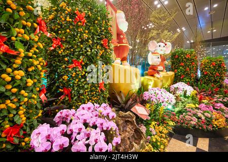 SINGAPUR - CA. JANUAR 2020: Innenaufnahme des internationalen Flughafens Singapur Changi. Stockfoto