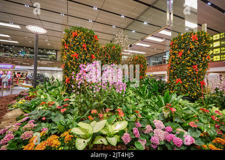 SINGAPUR - CA. JANUAR 2020: Innenaufnahme des internationalen Flughafens Singapur Changi. Stockfoto