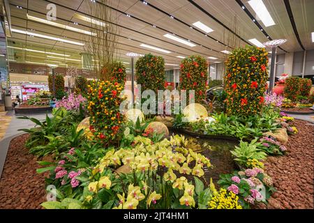 SINGAPUR - CA. JANUAR 2020: Innenaufnahme des internationalen Flughafens Singapur Changi. Stockfoto