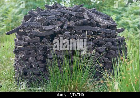 Stapel von Rasen fossilen Brennstoffen trocknen in einem irischen Moor. Stockfoto