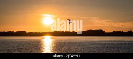 Ultraleichtplan, der am Sonnenuntergang über dem Ozean im Norden von Wales, Großbritannien, vorbeifliegt Stockfoto