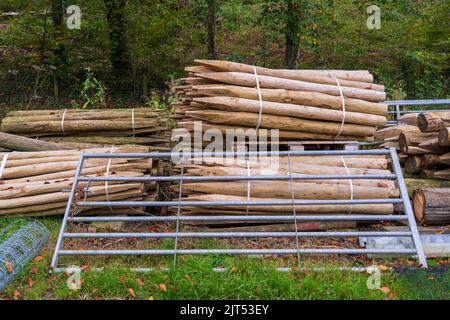 Fechten Pfosten und verglaste fünf bar Tor Fechten Auftragnehmer Stockfoto