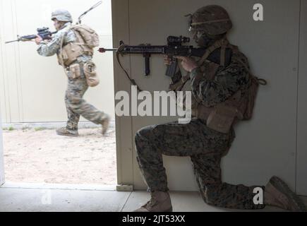 U.S. Marines mit dem Bataillon 1., 1. Marine Regiment nehmen an der Ausbildung während amphibischer Landeoperationen im Marine Corps Base Camp Pendleton, Kalifornien, 19. Februar 2014, im Rahmen der Übung Iron Fist 140219 Teil Stockfoto