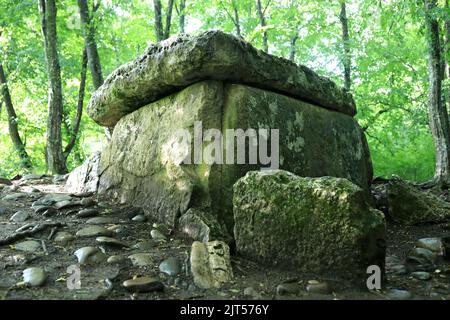 Blick auf Dolmen im Wald im Sommer, Adygea Stockfoto