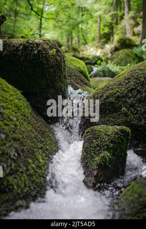 Eine Nahaufnahme von großen Steinen im Triberg-Wasserfall, der von grünem Moos bedeckt ist Stockfoto