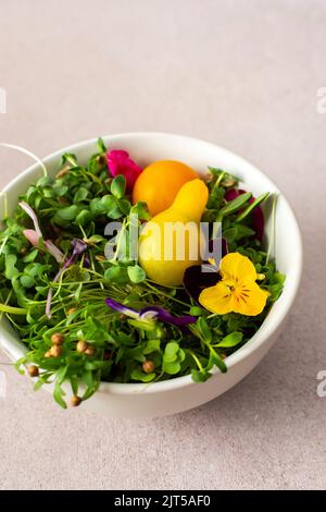 Schüssel mit gesunden, leckeren Mikrogemüse aus Rettich und Erbsen, Koriander und Kreuzkümmel, Sonnenblumen- und Flachs- und Kirschtomaten Stockfoto