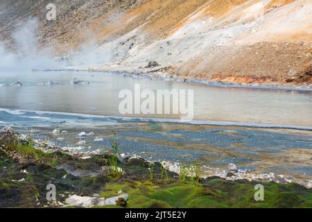 Extremophile Vegetation am Ufer eines heißen mineralisierten vulkanischen Sees, die an die ersten Landpflanzen erinnert Stockfoto