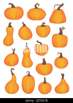 Verschiedene geformte Kürbisse. Sammlung von handgezeichneten Vektorgrafiken. Stock Vektor