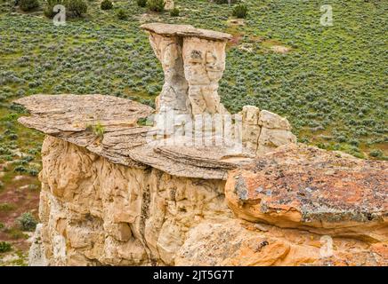 Sandstein-Hoodoos, Castle Gardens Scenic Area, Bighorn Basin, in der Nähe der Stadt Ten Sleep, Wyoming, USA Stockfoto