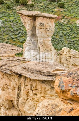 Sandstein-Hoodoos, Castle Gardens Scenic Area, Bighorn Basin, in der Nähe der Stadt Ten Sleep, Wyoming, USA Stockfoto