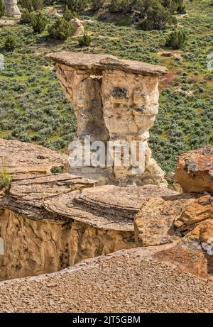 Sandstein-Hoodoos, Castle Gardens Scenic Area, Bighorn Basin, in der Nähe der Stadt Ten Sleep, Wyoming, USA Stockfoto