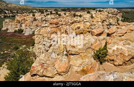 Sandsteinfelsen, Castle Gardens Scenic Area, Bighorn Basin, in der Nähe der Stadt Ten Sleep, Wyoming, USA Stockfoto