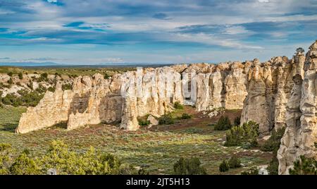 Sandsteinfelsen, allgemeine Ansicht, Castle Gardens Scenic Area, Bighorn Basin, in der Nähe der Stadt Ten Sleep, Wyoming, USA Stockfoto