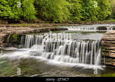 Lower Force, der niedrigste Teil der Aysgarth Falls am Fluss Ure in Wensleydale, North Yorkshire. Stockfoto