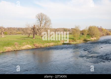 Gardens, Mount Juliet Estate (Hotel und Golfplatz), Thomastown, Co. Kilkenny, Irland Stockfoto