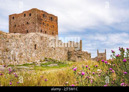 Ruinen der Burg Hammershus an einem sonnigen Tag auf der Insel Bornholm, Dänemark Stockfoto