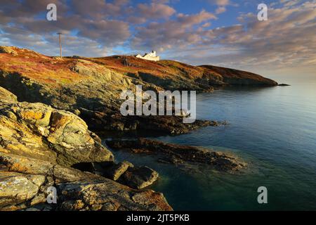 Morgenlicht auf Point Lynas Leuchtturm. Anglesey, Nordwales, Großbritannien. Stockfoto