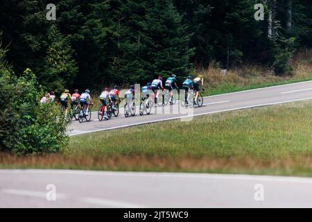 28. August 2022, Baden-Württemberg, Schiltach: Die Vorgruppe fährt auf der 4.. Etappe der Deutschland-Rundfahrt einen flachen Anstieg hinauf. Die 4. und damit letzte Etappe der Deutschlandtour startet heute in Schiltach und endet in Stuttgart. Foto: Philipp von Ditfurth/dpa Stockfoto