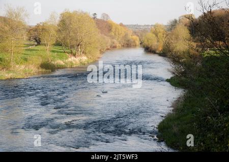 Gardens, Mount Juliet Estate (Hotel und Golfplatz), Thomastown, Co. Kilkenny, Irland Stockfoto