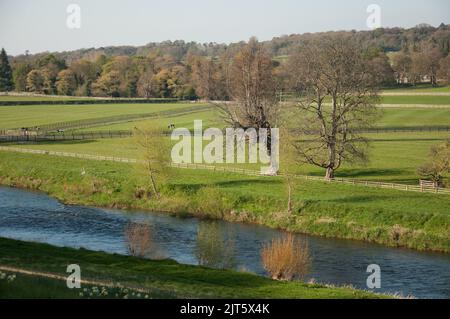 Felder und Gärten, Mount Juliet Estate (Hotel und Golfplatz), Thomastown, Co. Kilkenny, Irland. Felder, Fluss, Bäume, Wälder. Stockfoto