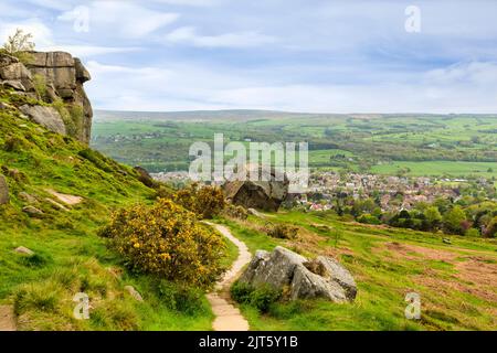 Ilkley Moor, mit den Cow- und Calf-Felsen, einem Fußweg, Ginster und einem Blick über die West Yorkshire-Mühlenstadt Ilkley. Stockfoto