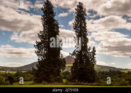 Sugar Loaf Mountain von Powerscourt Gardens in Enniskerry, Irland. Stockfoto