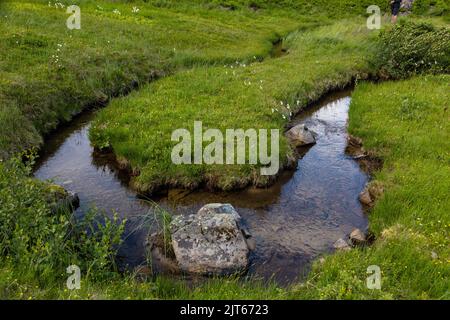 Kristallklares Wasser in einem Bergbach, der sich durch das Gras schlängelt, Karpaten Stockfoto