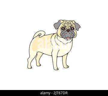 Pug mit faltiger Schnauze, Hund, Logo-Design. Tier, Haustier, Tierhandlung und Tierklinik, Vektor-Design und Illustration Stock Vektor