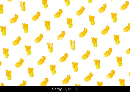 Nahtloses Muster. Gelbe Blume von Zucchini oder Kürbis auf weißem Hintergrund. Verpackungskonzept. Volle Schärfentiefe. Stockfoto