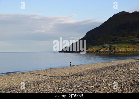 Frau, die am strand von bray, irland, spazieren geht Stockfoto