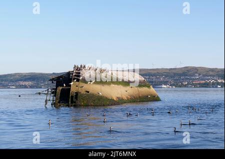 Schiffswrack-Zuckerboot auf See auf dem Fluss Clyde vom Firth of Forth Scotland aus gesehen Stockfoto
